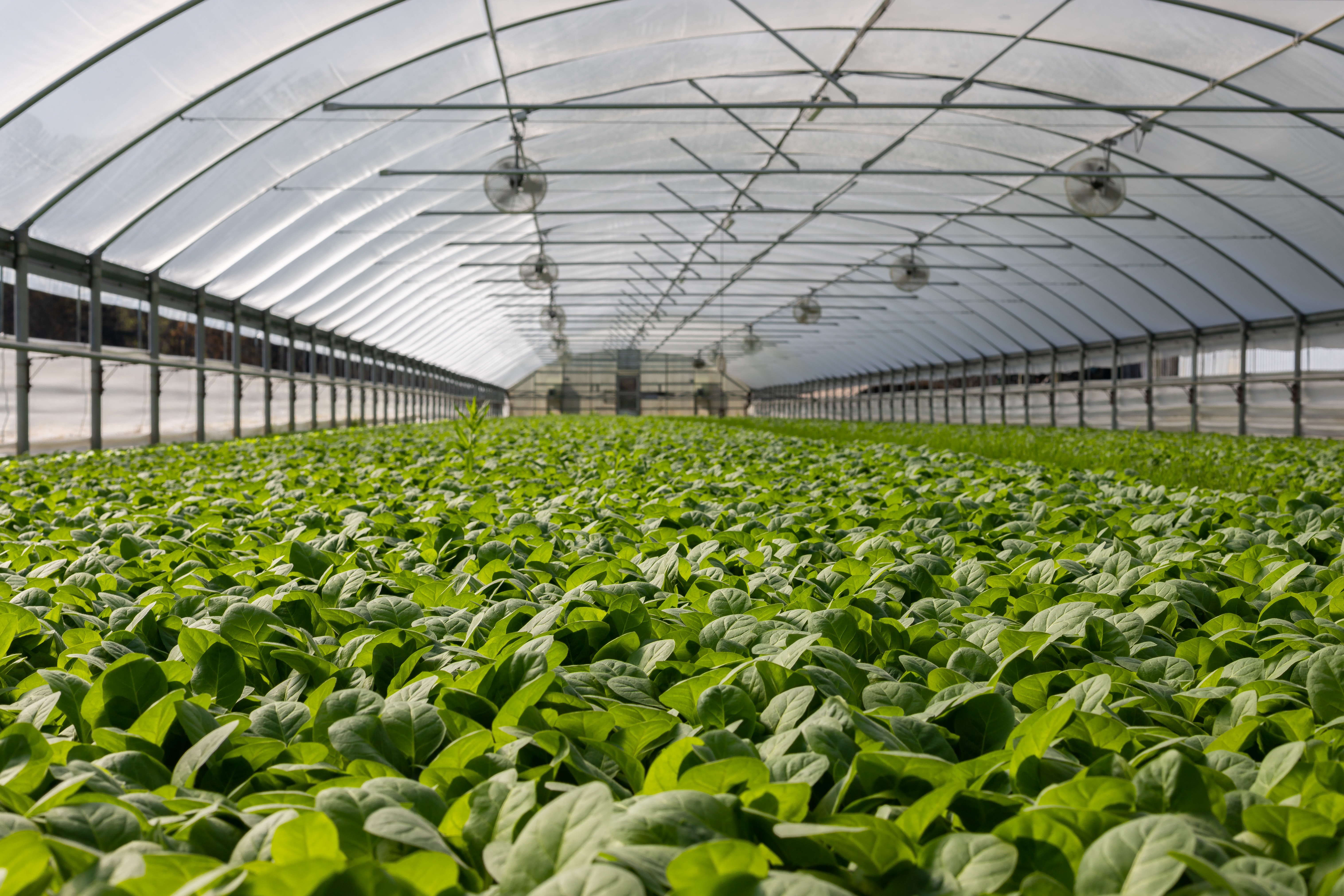 agriculture-solution